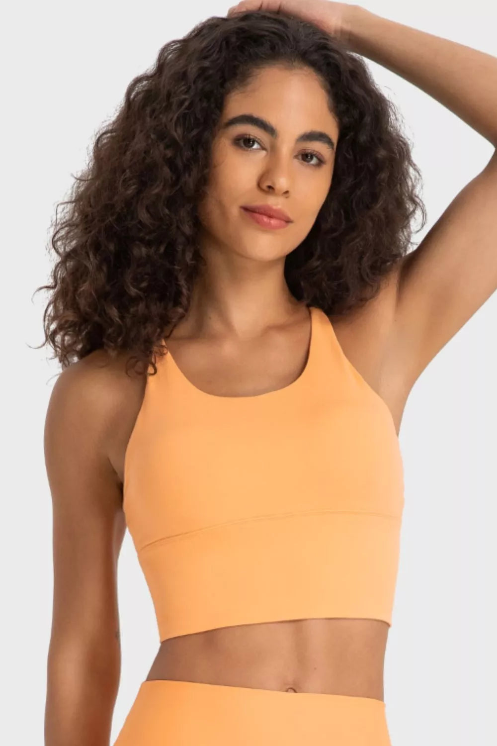 Millennia Crisscross Back Ladder Detail Sports Bra · detail view